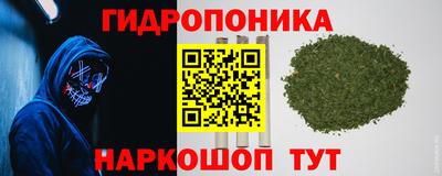 гашиш Можга