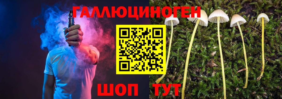 Галлюциногенные грибы Psilocybe Владивосток